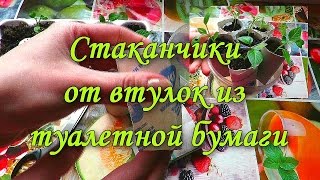 Стаканчики для рассады своими руками  Бюджетный вариант