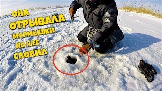 ОНА ОТОРВАЛА все мормышки, НО потом я поставил раттлин (VIB)