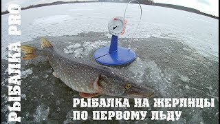 Рыбалка на жерлицы по первому льду  Рыбалка на Урале деревня Дрягуново  Ловля живца