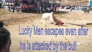 JALLIKATTU STUNTS TROLL PART 3 - TODAY TRENDING