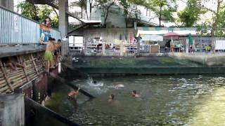 Bangkok Streets - Kids Swimming in Chao-Praya river www.tuktukcity.com