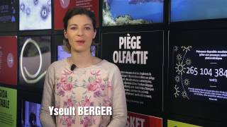 Journal des sciences n° 381 – Prématurés sous vidéosurveillance (et autres infos)