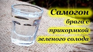 Рецепт самогона с прикормкой для браги из зеленого солода пшеницы и ячменя.