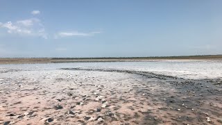 Веселовка Чёрное море, пляж, соленое озеро, лечебная грязь