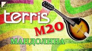 Обзор мандолины TERRIS M20 | Как играть на мандолине