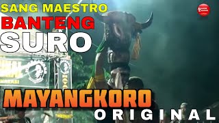 Jaranan MAYANGKORO ORIGINAL Terbaru Live MEJOYOLOSARI GUDO JOMBANG 2020 - BANTENGAN SURO
