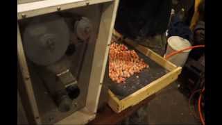 American Bison Boilie Machine