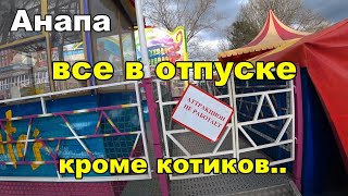 Утром снег, в обед пляж  Немного январской Анапы