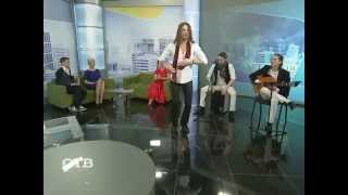 Фламенко: музыка, танец, образ жизни (08.04.14)