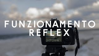 COME FUNZIONA LA REFLEX? [TUTORIAL FOTOGRAFIA] Corso fotografia base