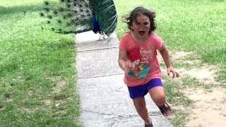 LAUGH LIKE HELL with FUNNY KIDS & BABIES - Super FUNNY & CUTE compilation