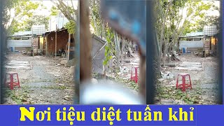 ĐÂU LÀ NƠI CHÍNH XÁC NHẤT TUẤN KHỈ BỊ TIÊU DIỆT