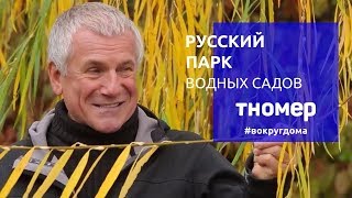 Крупнейшая коллекция ив и кувшинок Александра Марченко. Русский Парк Водных Садов | #ВокругДома