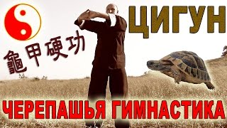 Жесткий цигун в тайцзицюань. Черепашья гимнастика (гуйцзя ингун 龜甲硬功)
