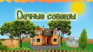 Дачные советы с Галиной Старосельцевой. Ноябрь 2016-03