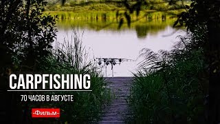 Карпфишинг: 70 часов в Августе.