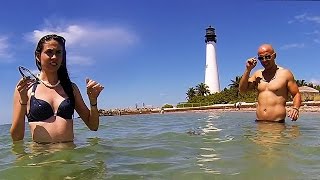 Gold found by the Lighthouse