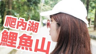 山上也有小人國-內湖鯉魚山