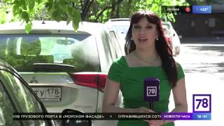 Домофоны Бевард
