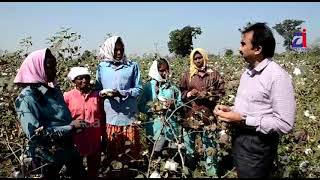 Collector Vasam Venkateshwarlu Visited Villeges I Palle Pragathi I Bhupalpalli I Atla Info