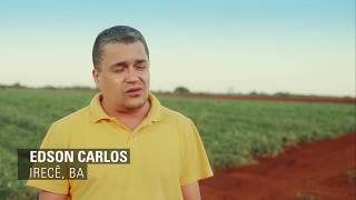 Plantio de Cebola por Gotejamento - João Dourado, BA