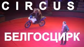 Белорусский государственный цирк в Минске. Circus Belarus