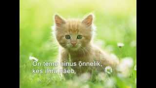 Armin ja Jaanika - Kiisu