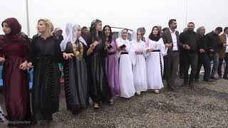 ŞİYAR BERWARİ / Ali Ruvanas Düğünü Part 6 / FOTO GİZEM