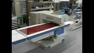 Роликовый полировальный станок Vigano Mario SP 800