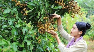 Cooking dessert Longan fruit in my homeland - Poling lifestyle