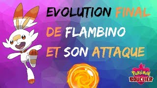 Pokemon bouclier L'Évolution Final de Flambino et son attaque