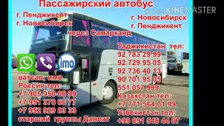 Пассажирный автобус 2018 группа Давлат