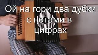 Ой, на гори два дубки с нотами в цифрах