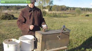 Стратификация семян и косточек