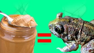 6 НЕОЖИДАННЫХ ПРИРОДНЫХ ЗАПАХОВ