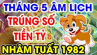 Tử Vi Tuổi NHÂM TUẤT 1982 Tháng 5 Âm Lịch CHẮC CHẮN Bùng Nổ TÀI LỘC, TIỀN TỶ Cầm Tay