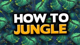 How to Play Jungle in the New Jungle (Patch 8.10) - League of Legends