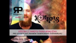 Siderický kompas - Ryby - červenec, srpen 2017 - výklad tarotu a dalších karet