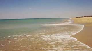 Футаж море 8