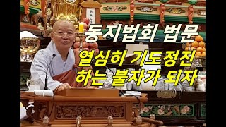 정우스님(2019. 12. 22 동지법회 법문)-“열심히 기도정진하는 불자가 되자”