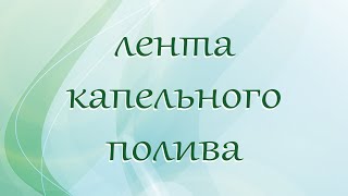 Капельный полив