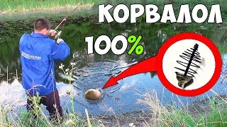 РЫБАЛКА на КОРВАЛОЛ 100% ПОКЛЁВОК КАРАСЯ на ЭТО ЛЕКАРСТВО