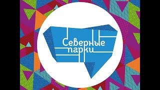 "Крещенские купания 2018" в Северных парках. Прямая трансляция. (16+)
