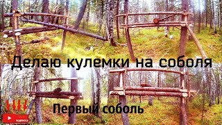 Делаю кулемки на соболя(куницу)Касая загнала первого соболя Подготовка к промыслу