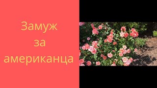 #25 ЗАМУЖ ЗА АМЕРИКАНЦА. РАЗВОД СВЕТЛАНЫ. МОТИВАТОР КРИСТИНА