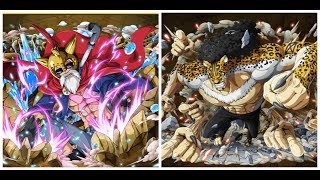 OPTC JAPAN : LEGEND LUCY VS RAID LUCCI 60 STA