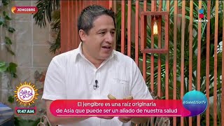 ¿Cuáles son las propiedades del jengibre? | Sale el Sol