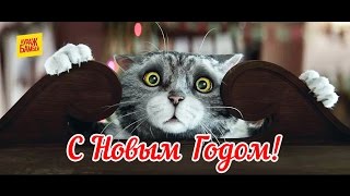 Новогодняя история Sainsbury`s (озвучка Кураж-Бамбей)