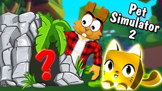 СЕКРЕТНОЕ МЕСТО ПЕТ СИМУЛЯТОР 2! Как получить САМЫХ ЛУЧШИХ ПЕТОВ в Pet Simulator 2 Roblox