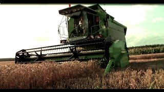 ☆☆Żniwa 2016☆☆ Deutz-Fahr TopLiner 4065H | Lamborghini | Landini | FiatAgri | Krone | Ursus☆